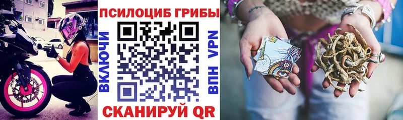 Галлюциногенные грибы Psilocybine cubensis Алупка